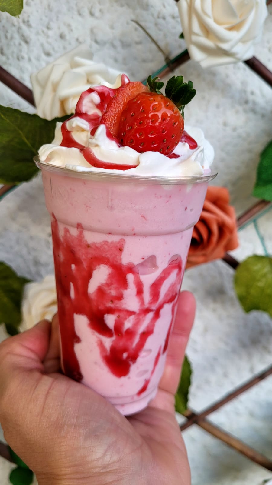 Gelado